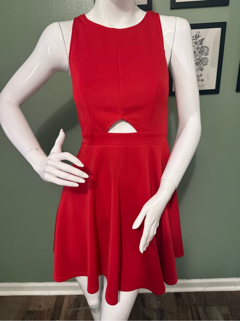 Francesca's Collections Red Sleeveless Fit & Flare Mini Dress with Front Cutout